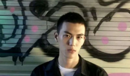 高冷男动漫,高冷动漫角色的魅力解析